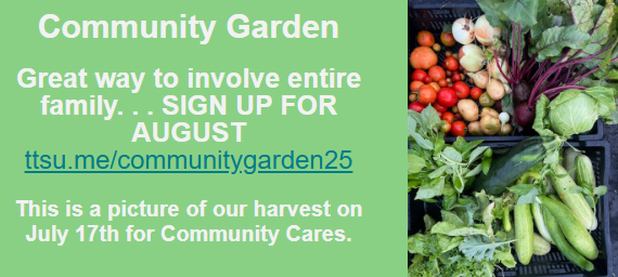 Screenshot 2025-07-31 232759